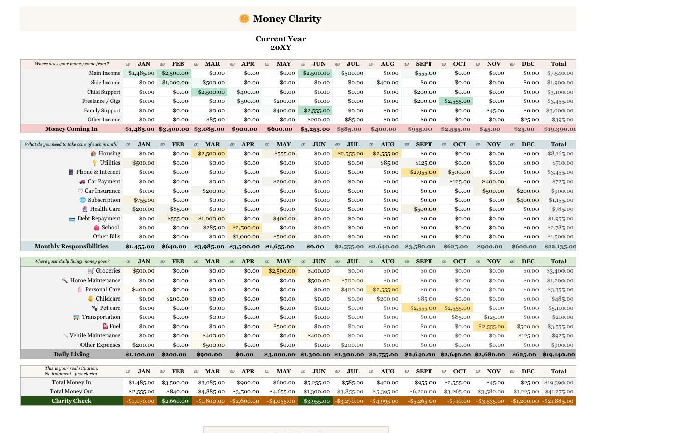 NeaMea Yearly Money In/Out Sheet — detail view 1